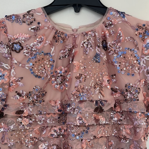 Rachel Parcell embroidered Tulle Dress with sequins - Picture 9 of 17